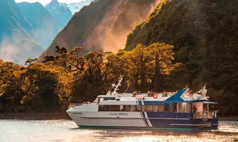 [Small-Group Refined Experience]Milford Sound Small Boat Cruise | New Zealand