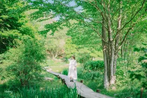 ROKKO Forest Sound Museum Admission Ticket - Instant Booking (Mount Rokko Museum, Kobe City, Hyogo Prefecture)