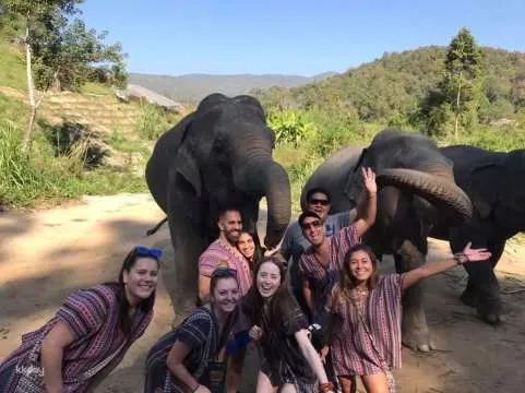 Mae Wang Po Ngurn Elephant Sanctuary Joined Tour | Chiang Mai