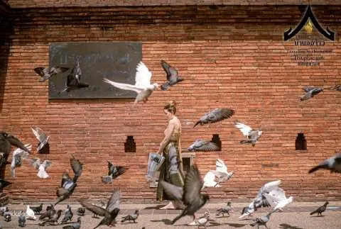 Half-Day Temple-Hopping Tour in Traditional Thai Clothing | Chiang Mai