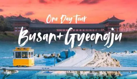 Busan+Gyeongju One Day Tour｜Busan Gamcheon+Sky Capsule+Gyeongju Famous Tourist Spot (Depart from Busan)