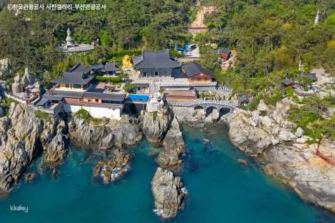 Busan Half-day Tour: Haedong Yonggungsa Temple, Haeundae Blueline Park (with Haeundae Beach Train Ride) + Japanese Tour Guide | South Korea