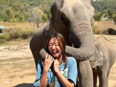 Chiang Mai: Elephant Sanctuary & Doi Inthanon Hiking Half-Day or Full-Day Tour with EN/CN Guide