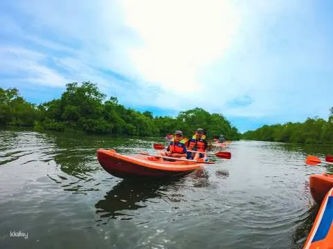 Bali's Mangrove Canoe Exploration : A Canoe Tour by Day or Evening | Indonesia