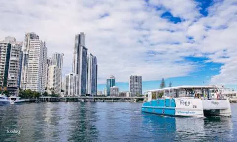 Hopo 2 Hour Sightseeing Cruise | Gold Coast