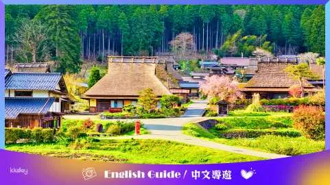 Kyoto Amanohashidate & Miyama Day Tour from Osaka Namba: Ine Funaya, Amanohashidate & Miyama Thatched Village | Japan