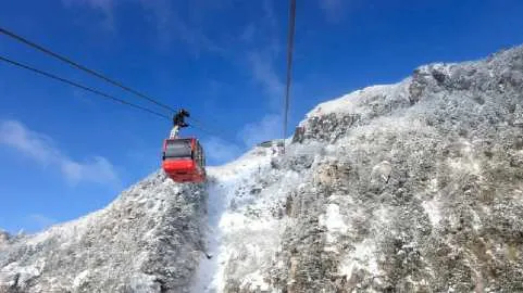 Dazzling Snow View Tour to Frozen Tree and Nabana no Sato from Osaka