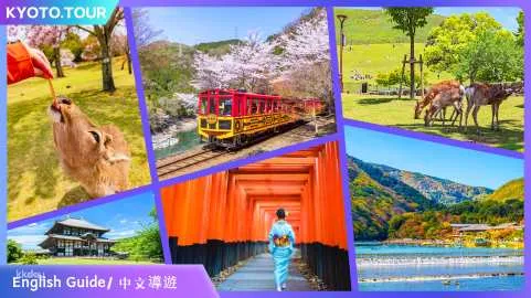 Kyoto, Nara & Arashiyama Day Tour | Nara Park, Todai-ji Temple, Fushimi Inari Taisha, Arashiyama | Optional Sagano Romantic Train | Departing from Osaka