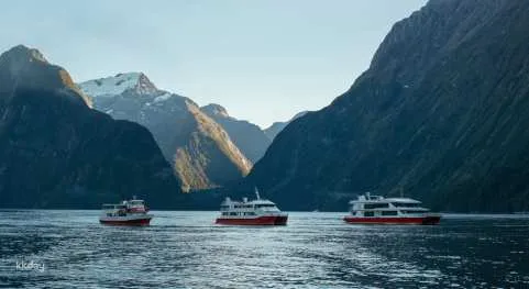 [Milford Sound Departure] Milford Sound Nature Cruise | New Zealand