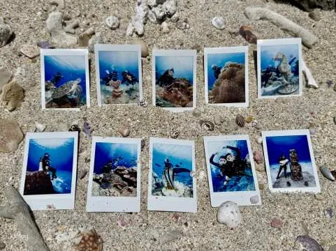 [Limited Time Offer] Green Island Shuiqing Diving | Experience Diving and Get a Free Polaroid Camera & Fins for Swimming