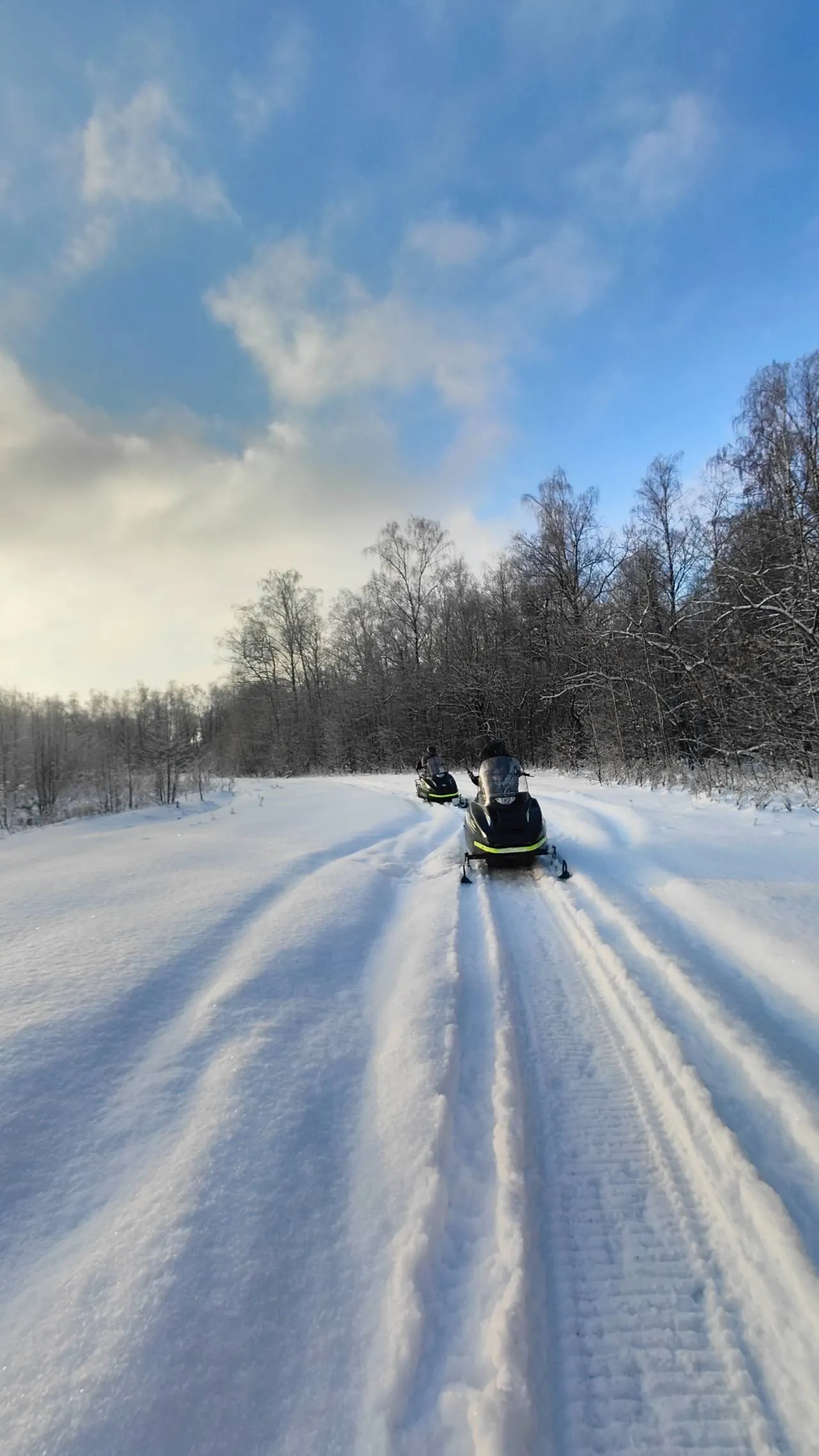 Husky and Snowmobile tour